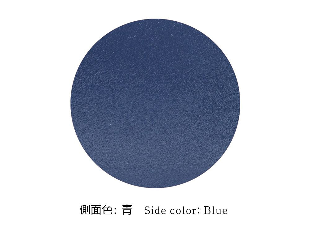 Apollo (Blue) Seal (Accessory) Case