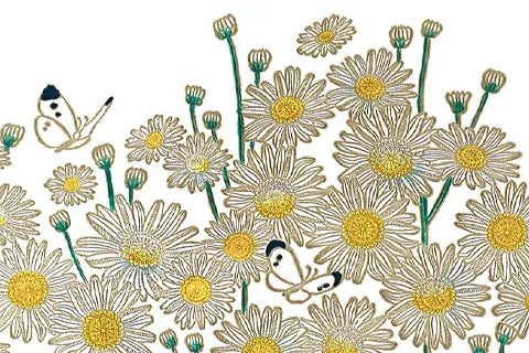 Marguerites